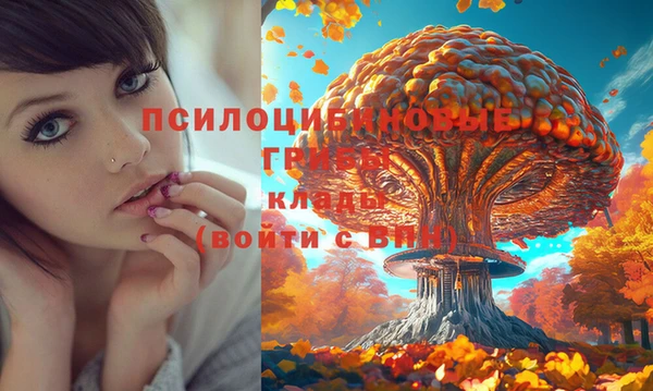 твердый Балахна