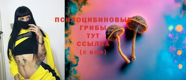 эйфоретик Баксан