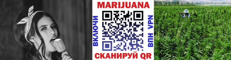 Шишки марихуана план  omg ССЫЛКА  Верхний Тагил 